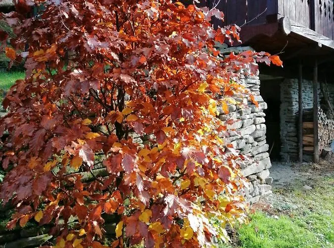 Robakowka Ochotnica Dolna